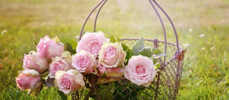 今すぐセックスしたい男性が登録すべき2024年イチオシの出会い系3選!0005